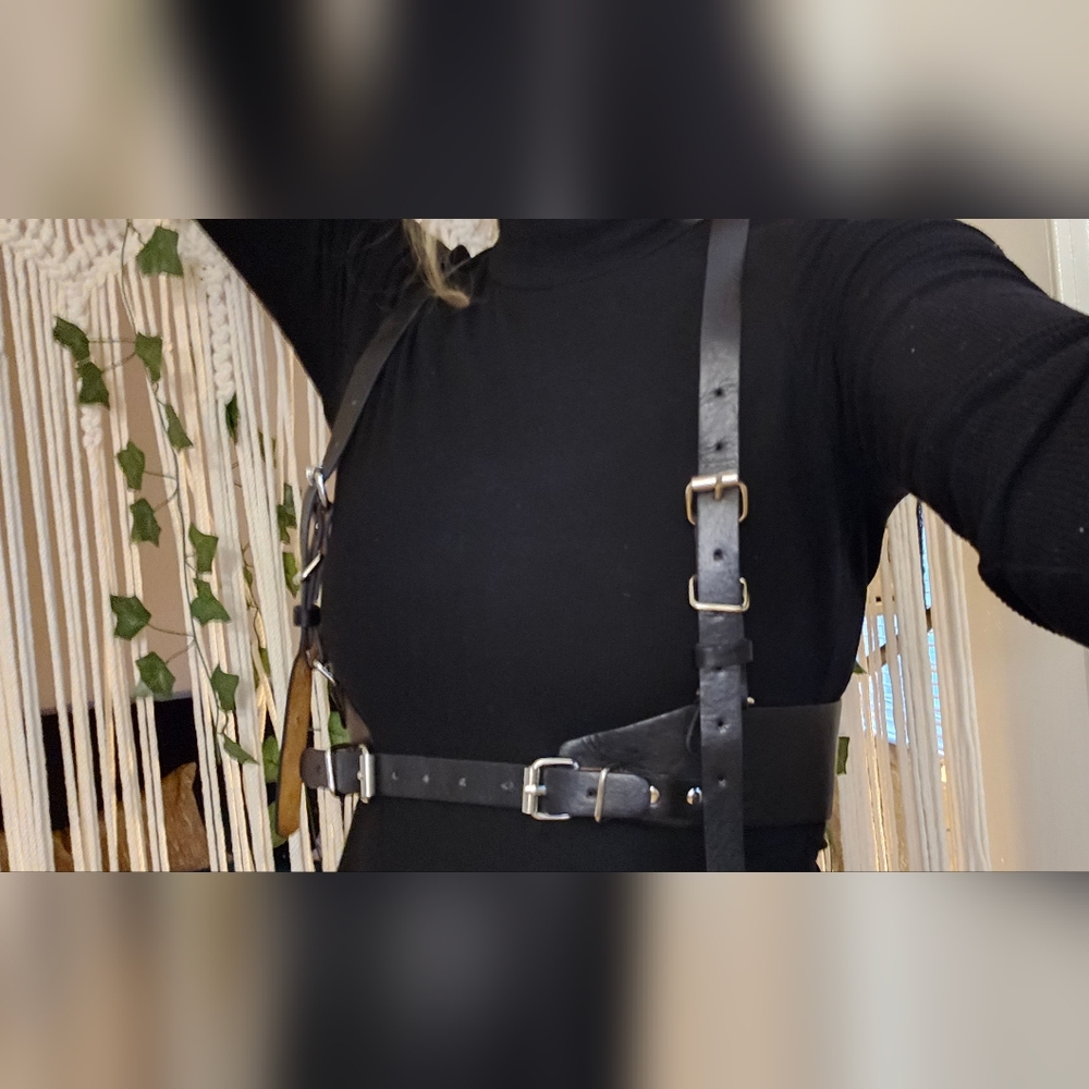 Black Harness with Silver Buckles